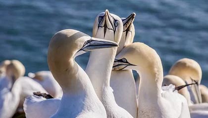 云开体育官方网站-圣埃蒂安主场告捷，法甲战绩继续保持稳定