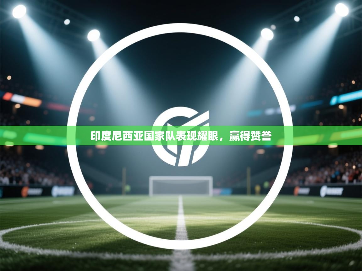 印度尼西亚国家队表现耀眼,赢得赞誉 第2张