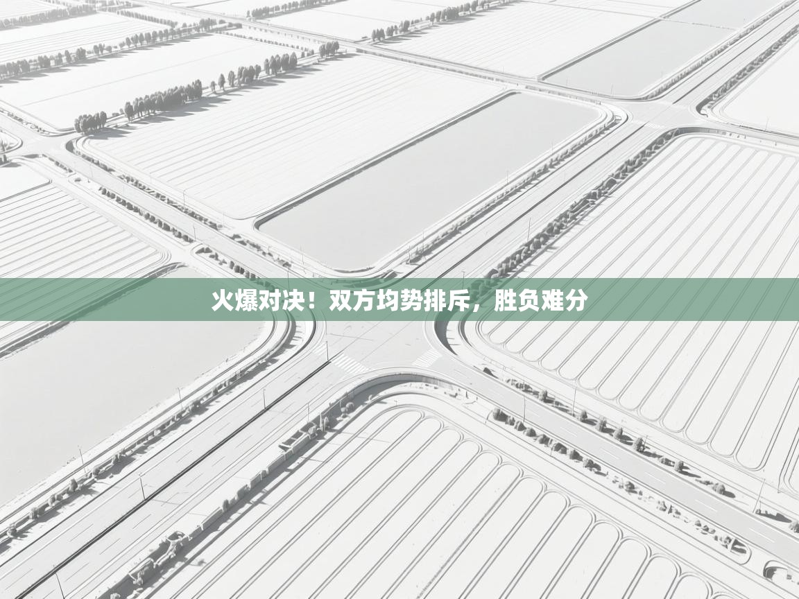 火爆对决!双方均势排斥,胜负难分 第2张