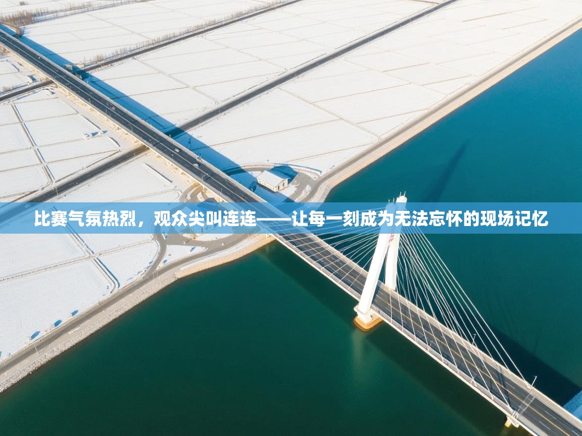 比赛气氛热烈,观众尖叫连连——让每一刻成为无法忘怀的现场记忆 第1张