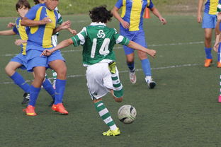 开云体育入口官网-捷克队逆转北爱尔兰，晋级四强，爱尔兰vs捷克